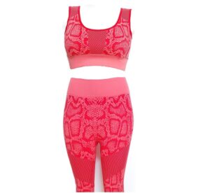Fitness set, Tights och Bh