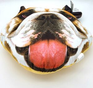 Kudde bulldogg - Bild 2
